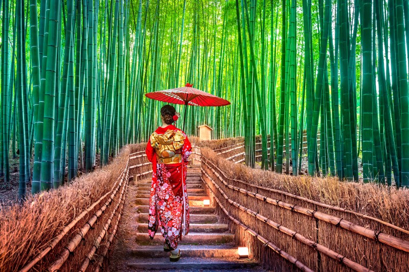 Arashiyma Bambuswald in Kyoto auf der Japan4Youth Extended Reise für Jugendliche und junge Erwachsene nach Japan