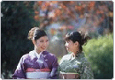 Studienreise Japan Live